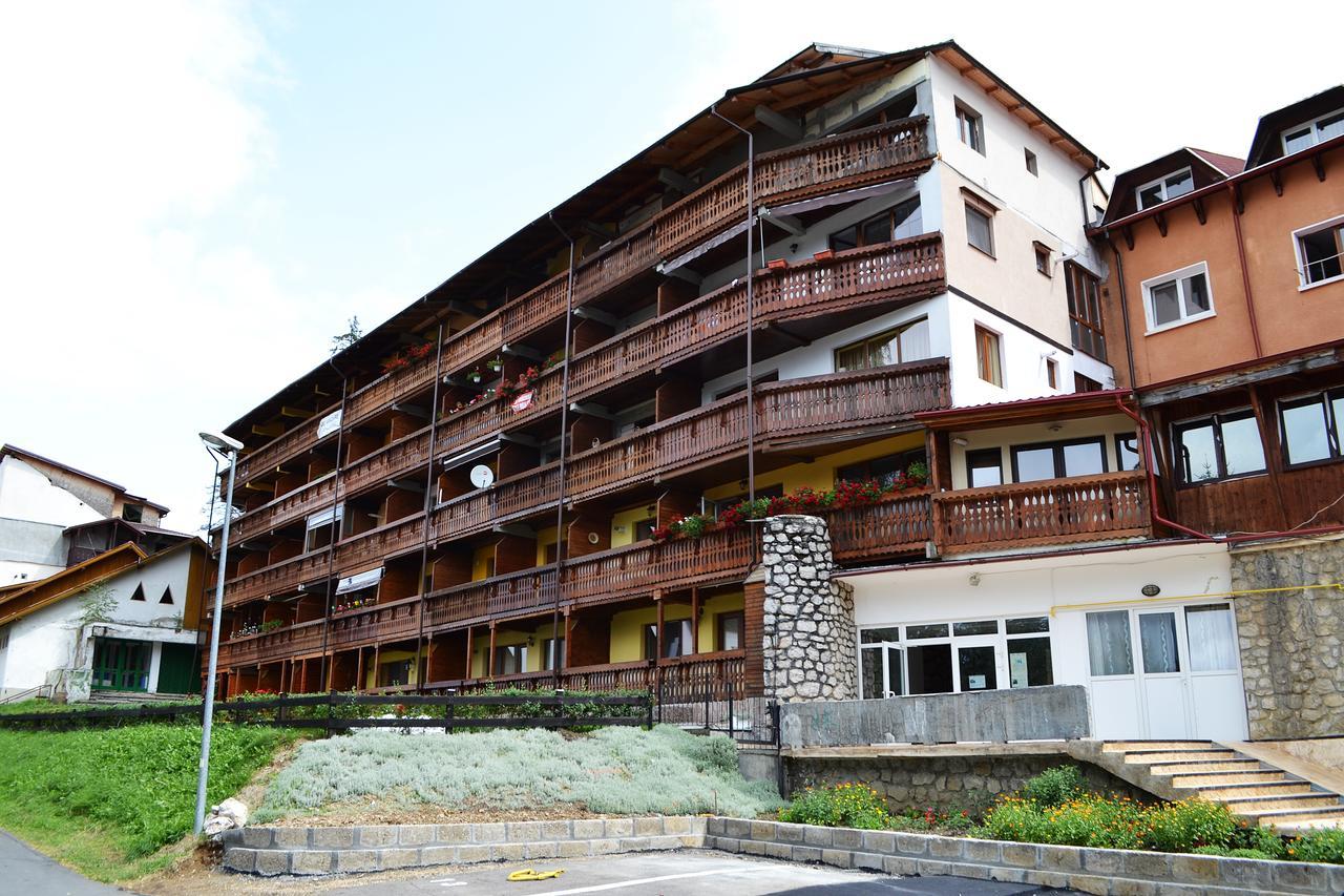 Studio Alex Poiana Brasov Luaran gambar