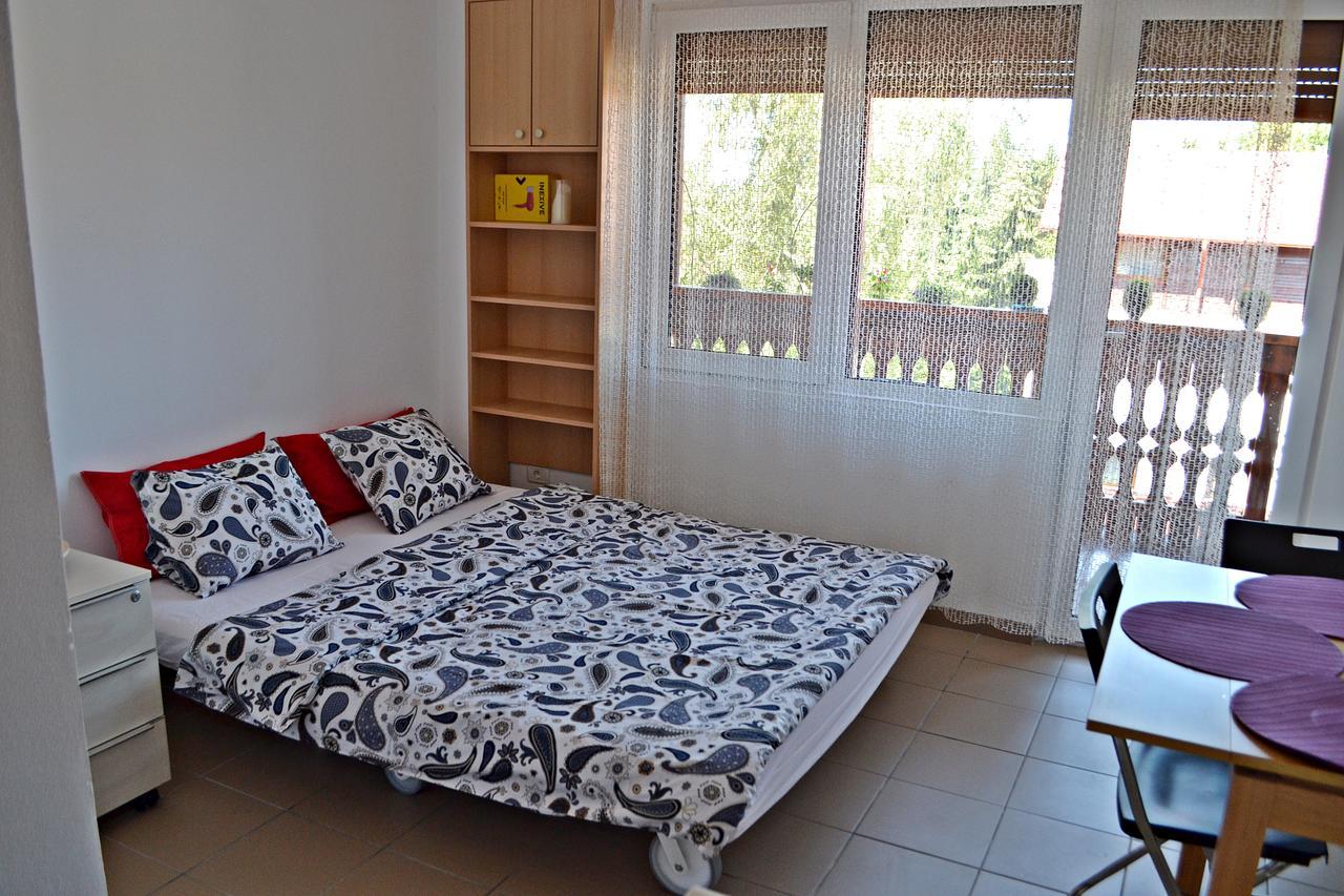 Studio Alex Poiana Brasov Luaran gambar