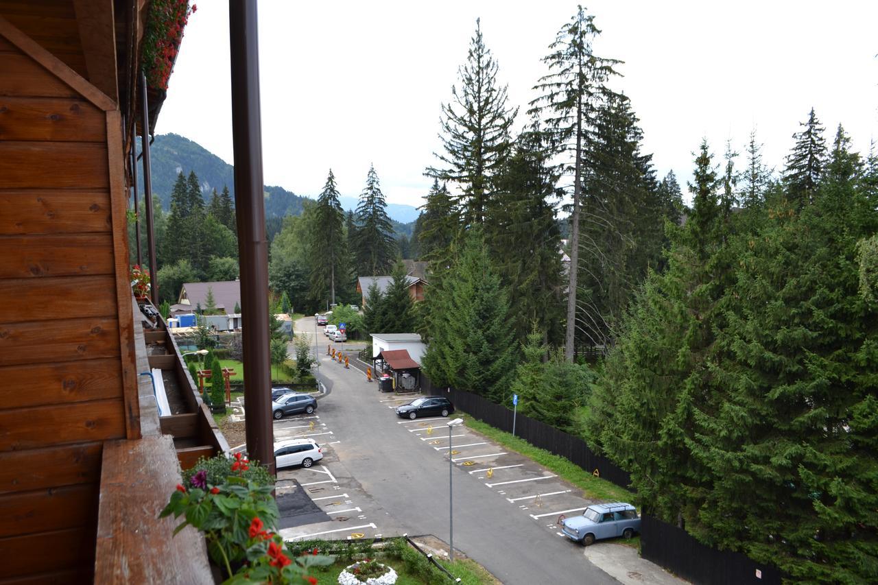 Studio Alex Poiana Brasov Luaran gambar