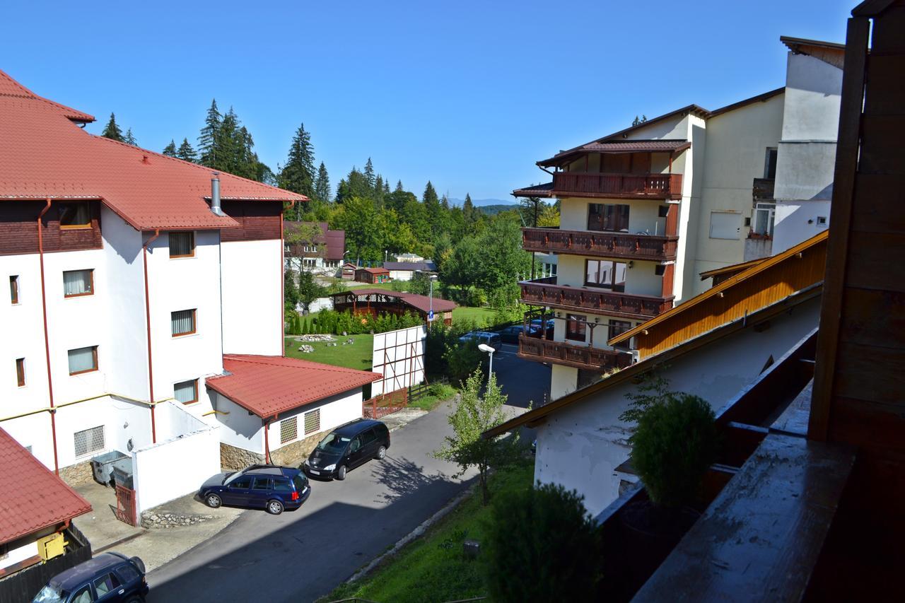 Studio Alex Poiana Brasov Luaran gambar